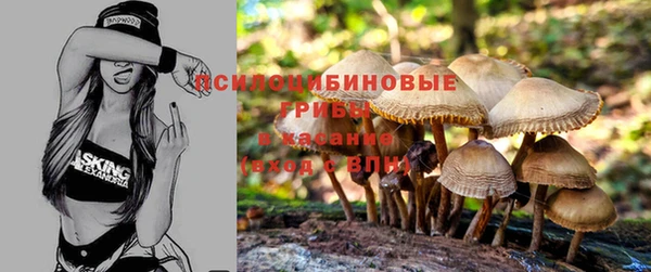 Альфа ПВП Абаза