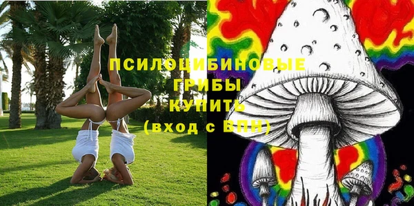 соль курить ск Алексин